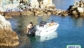 Elba Noleggio Barche Rent Malua